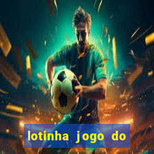 lotinha jogo do bicho como funciona